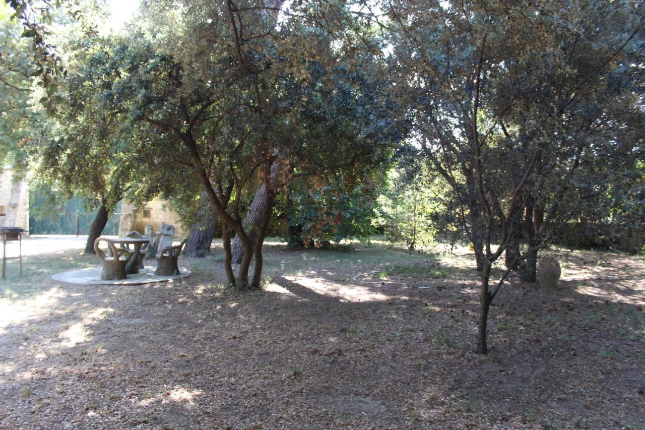 Le Mas De Lucien Entre Arles, Nimes, Avignon. Beaucaire  Εξωτερικό φωτογραφία