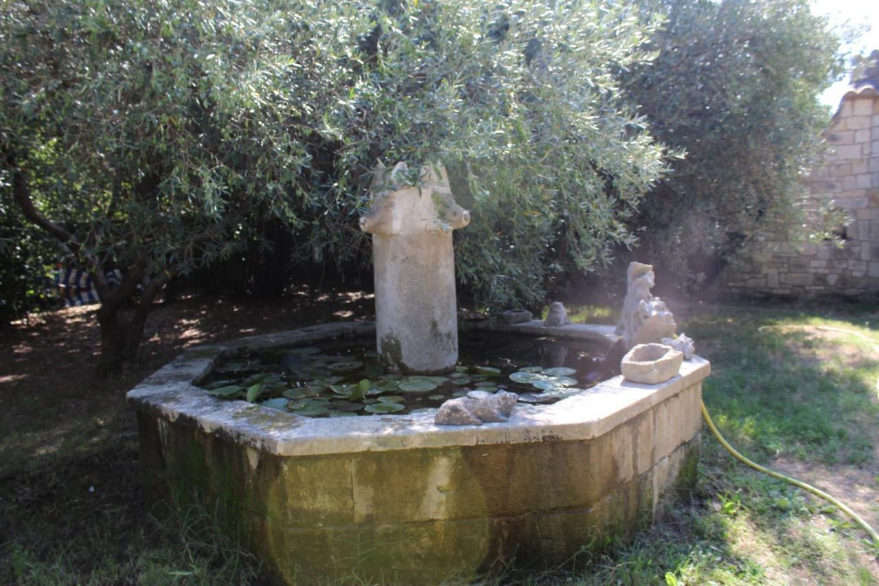 Le Mas De Lucien Entre Arles, Nimes, Avignon. Beaucaire  Εξωτερικό φωτογραφία