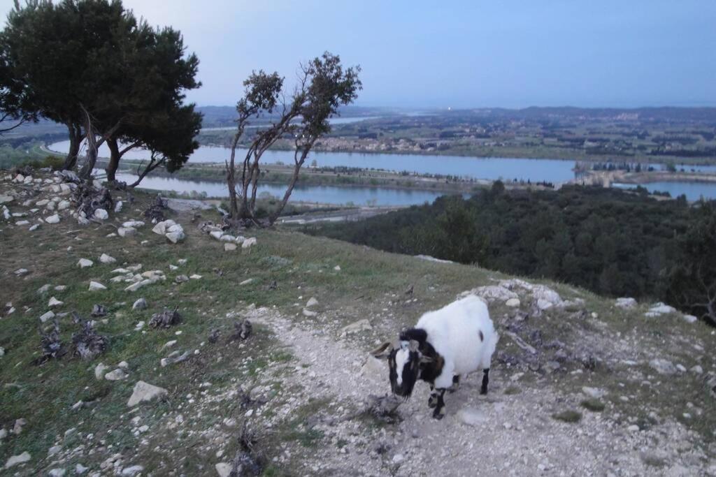 Le Mas De Lucien Entre Arles, Nimes, Avignon. Beaucaire  Εξωτερικό φωτογραφία