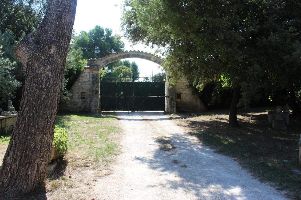Le Mas De Lucien Entre Arles, Nimes, Avignon. Beaucaire  Εξωτερικό φωτογραφία